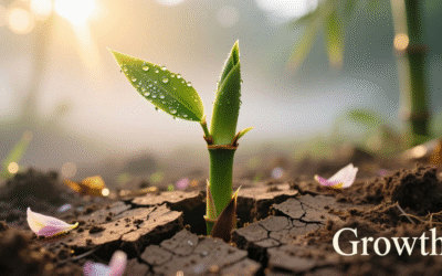 Making Personal Growth Your Daily Priority — Part 3